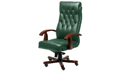 Кресло руководителя A Darwin Темн.Орех/Натур. кожа/Темн.Зеленый