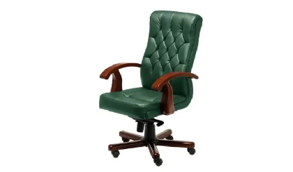 Кресло офисное B Darwin Темн.Орех/Натур. кожа/Темн.Зеленый